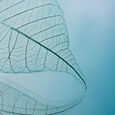 Compromís amb la sostenibilitat en el sector de la neteja