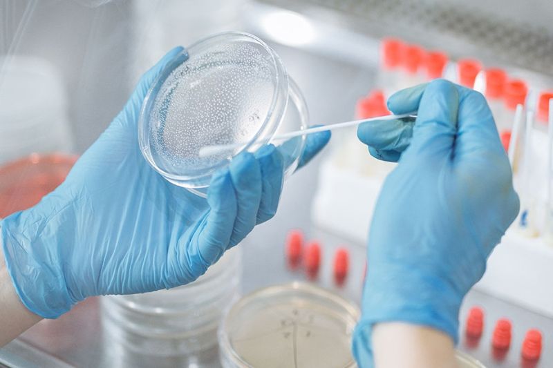 Anàlisi microbiològic complementari als serveis de neteja industrial